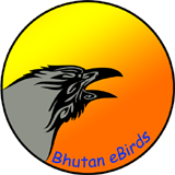 Bhutanebirds